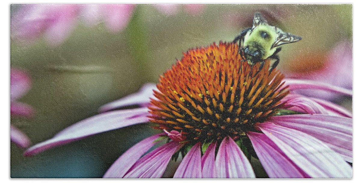 Macro Bath Towel featuring the photograph Purple Cone Flower and Bee by Al Mueller