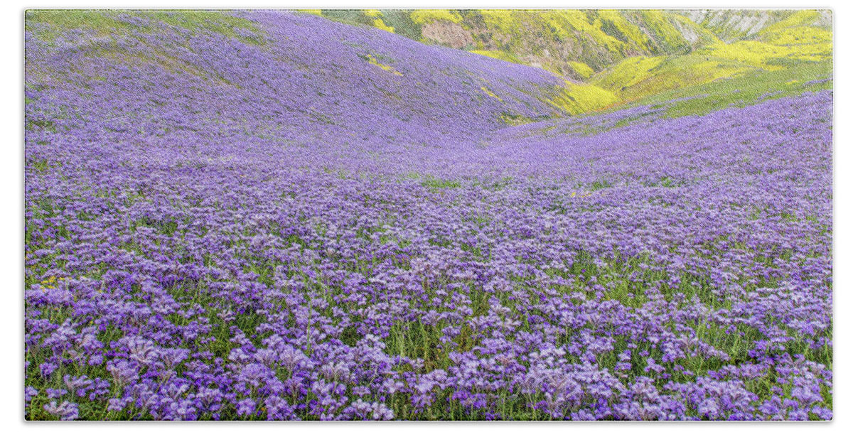 California Hand Towel featuring the photograph Purple Covered Hillside by Marc Crumpler