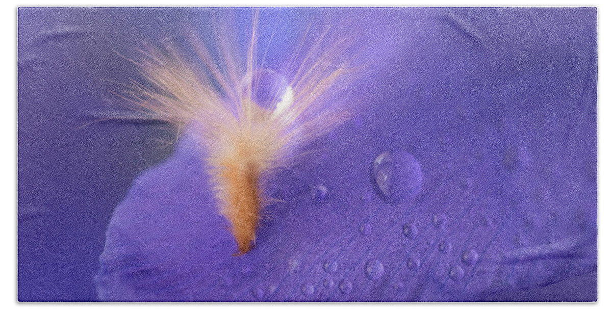 Iris Bath Towel featuring the photograph Purple dream by Giovanni Allievi