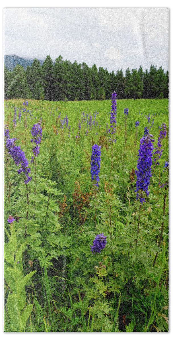 Flowers Bath Sheet featuring the photograph Purple Flowers by Scott Sawyer