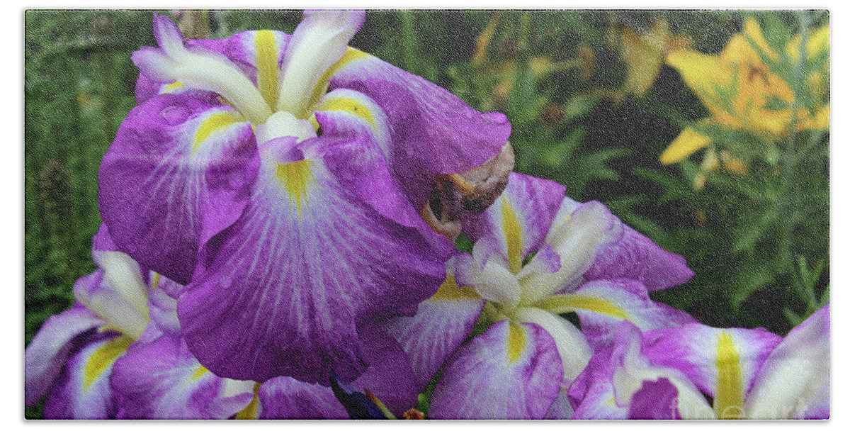 Flower Pictures Bath Sheet featuring the painting Purple Iris Flower by Corey Ford