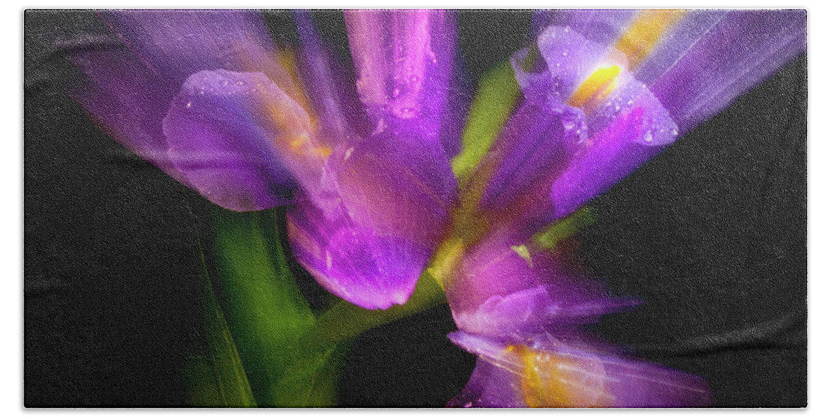 Iris Bath Towel featuring the photograph Purple Iris by Frederic A Reinecke