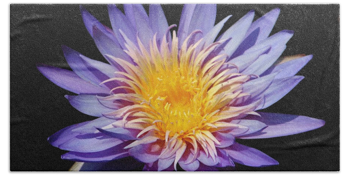 Flower Bath Towel featuring the photograph Purple Lotus by Cynthia Guinn