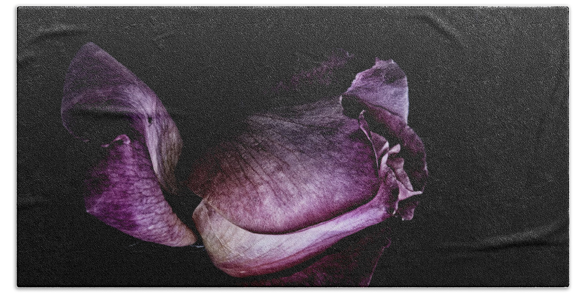 Rose Bath Towel featuring the photograph Purple mystic by Camille Lopez