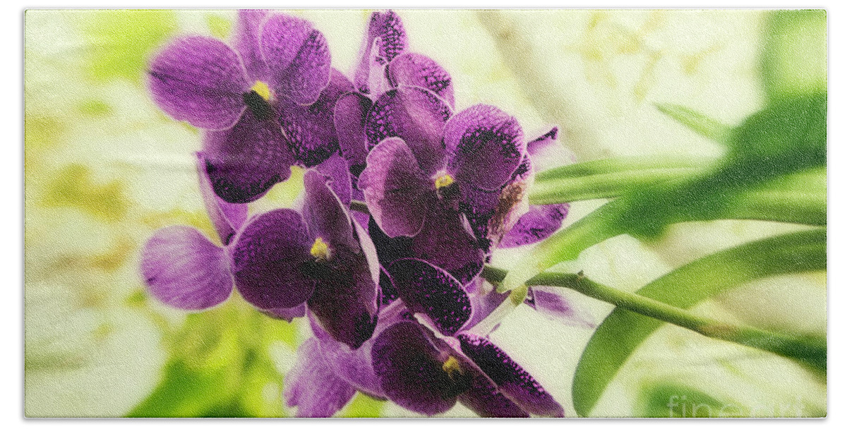Purple Orchids Bath Towel featuring the photograph Purple Orchid by Jeff Breiman