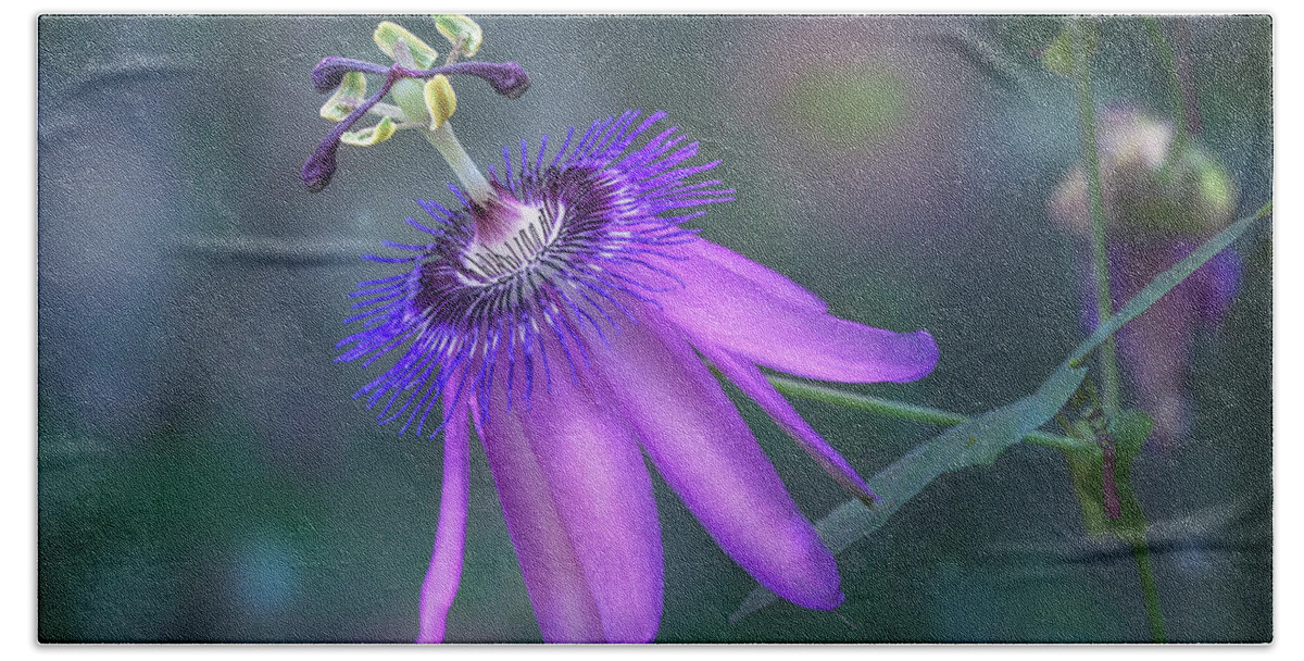 Flower Bath Towel featuring the photograph Purple Passion Flower by Tim Abeln