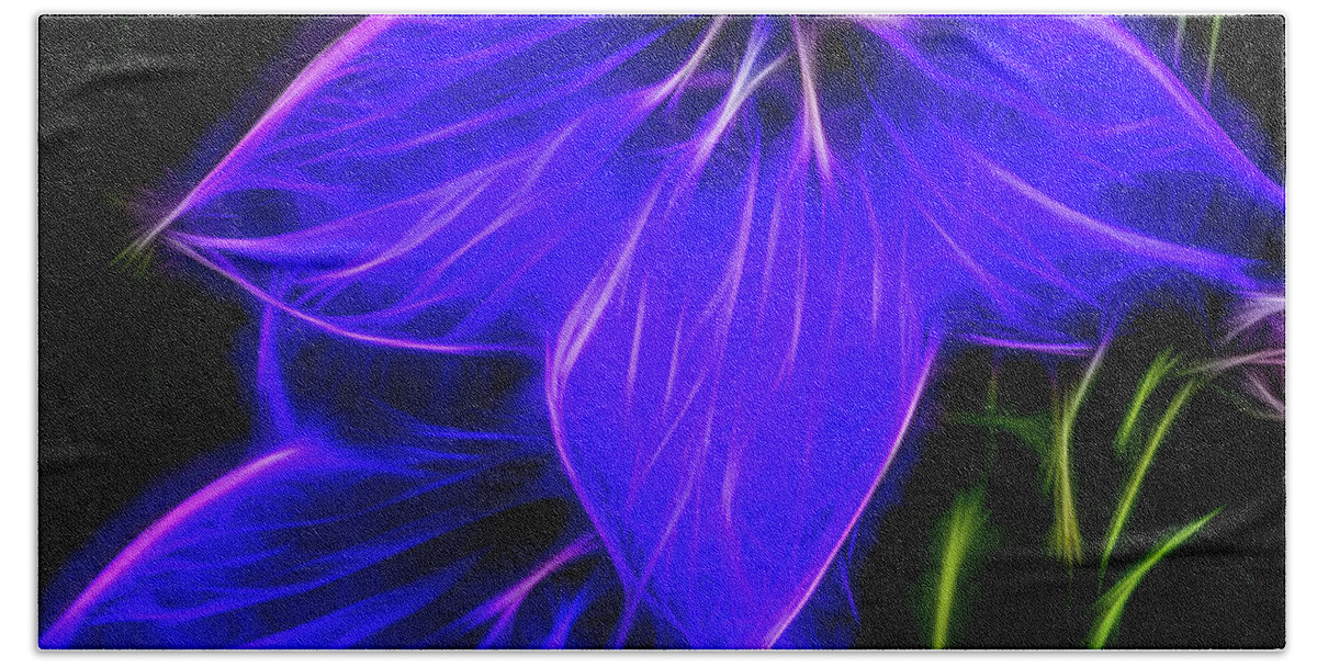 Purple Balloon Flower Bath Towel featuring the photograph Purple Passion by Joann Copeland-Paul
