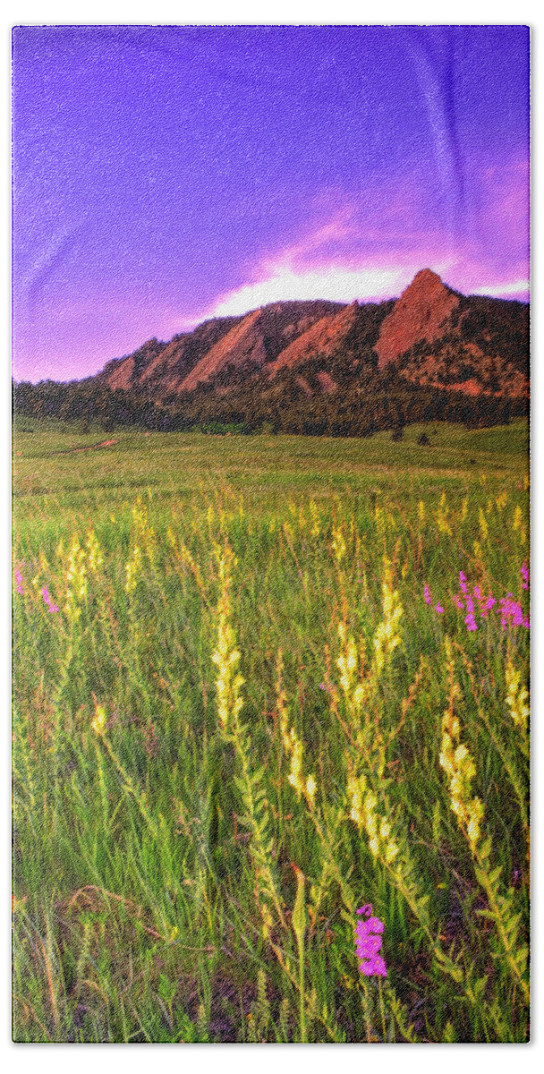 Colorado Hand Towel featuring the photograph Purple Skies and Wildflowers by Scott Mahon
