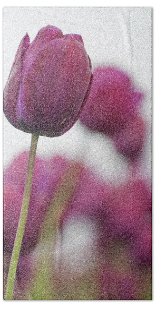 Tulips Bath Towel featuring the photograph Purple Tulip 2 by Jani Freimann