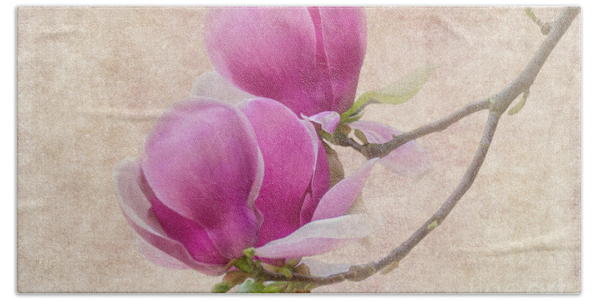 Magnolia Bath Towel featuring the photograph Purple Tulip Magnolia by Heiko Koehrer-Wagner