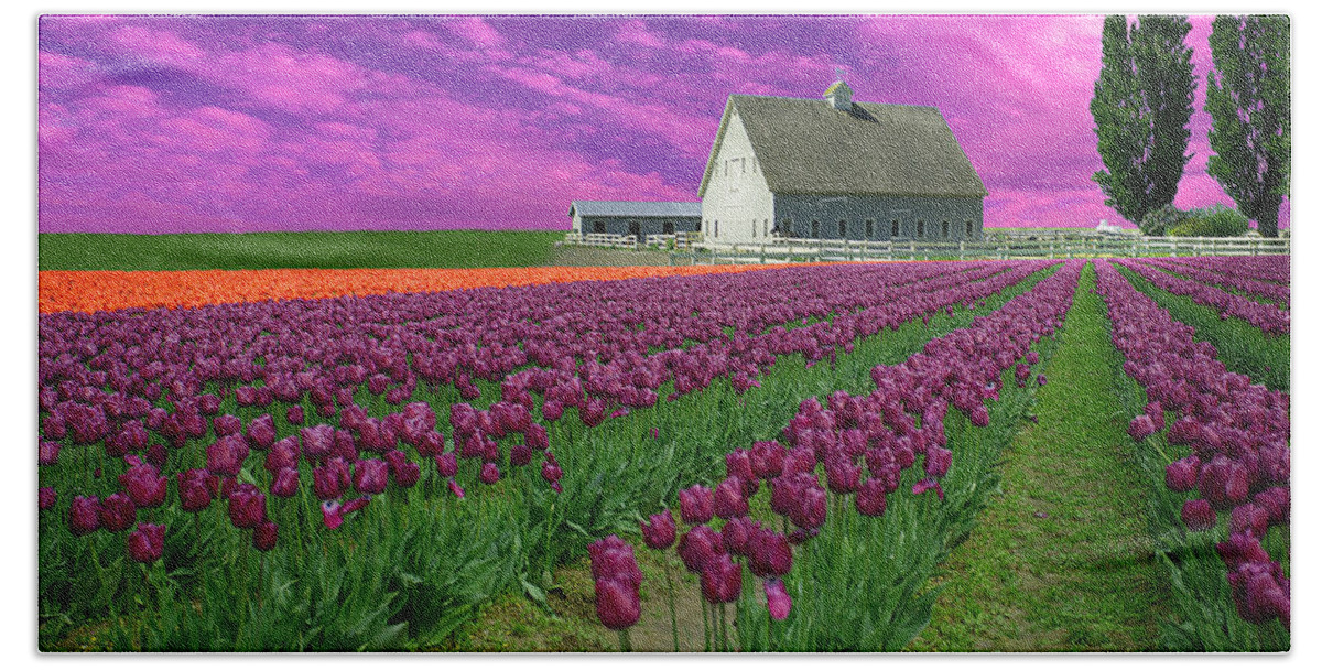 Flowers Bath Towel featuring the photograph Purple tulips with pink sky by Jeff Burgess