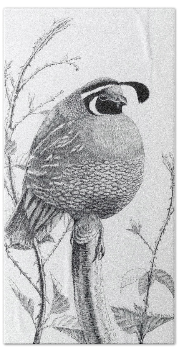 California Valley Quail Hand Towel featuring the drawing Quail Sentry by Timothy Livingston