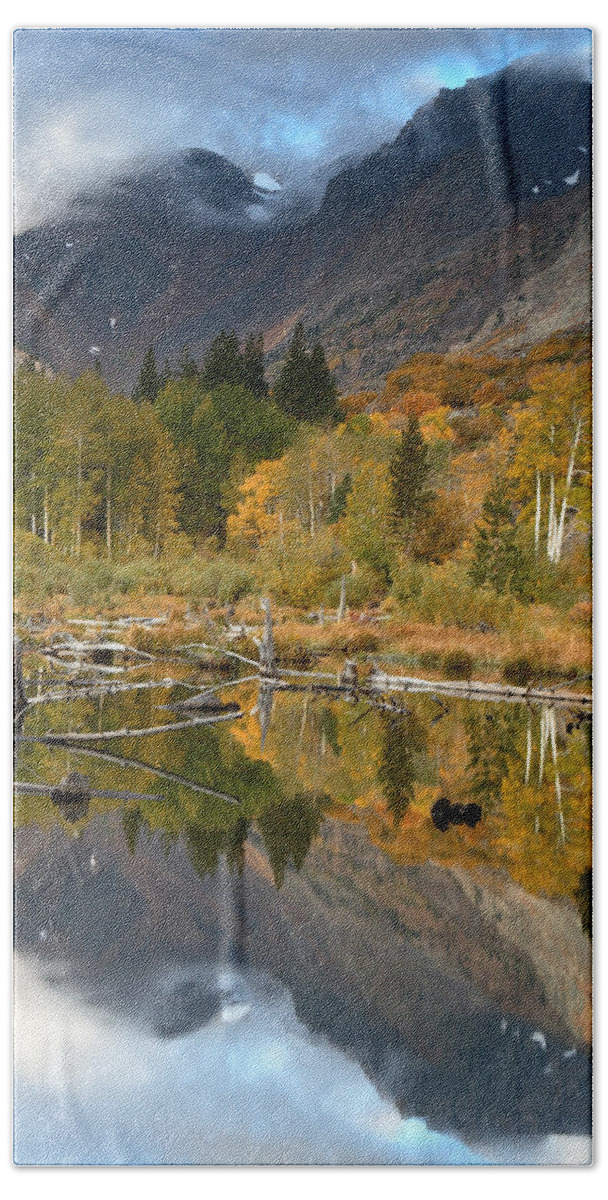 00429854 Bath Towel featuring the photograph Quaking Aspen Forest Lundy Canyon by Sebastian Kennerknecht