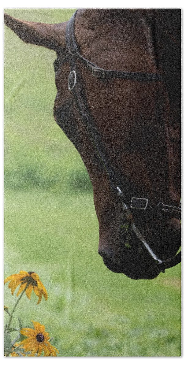 Quarter Horse Bath Towel featuring the photograph Quarter Horse by Holden The Moment