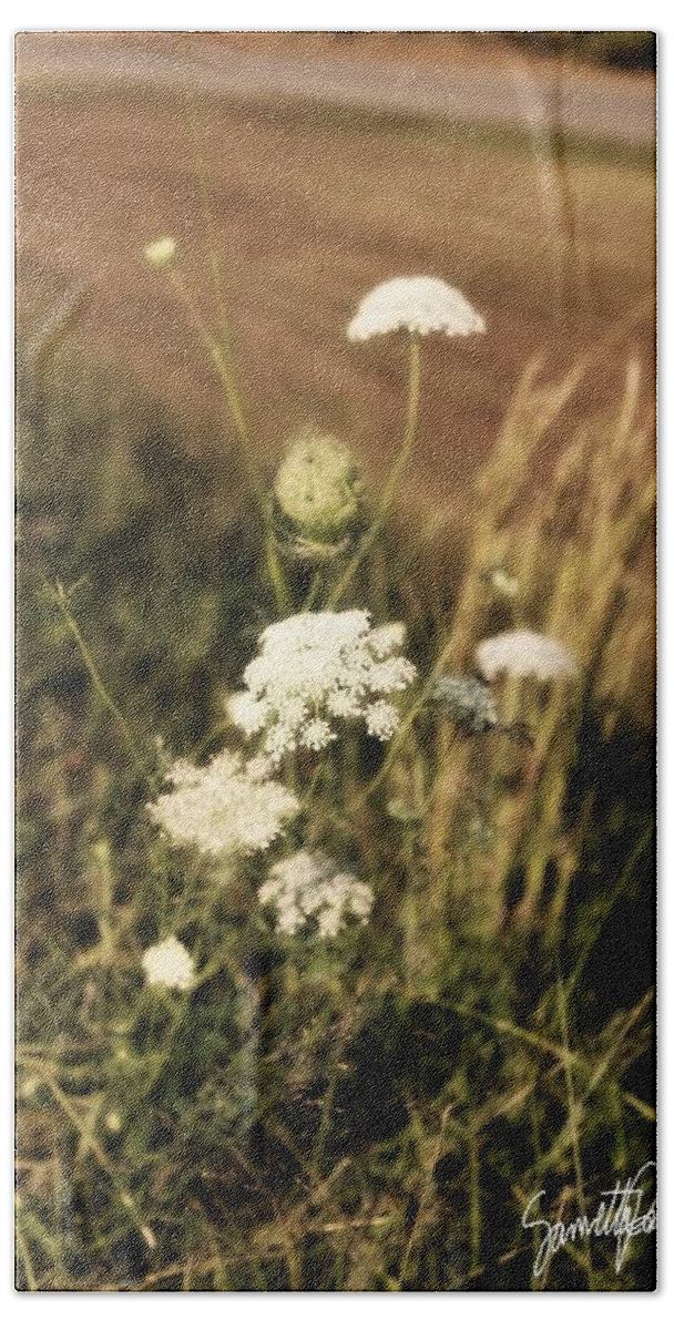 Nature Hand Towel featuring the photograph Queen Anne's Lace by Sametta Parker