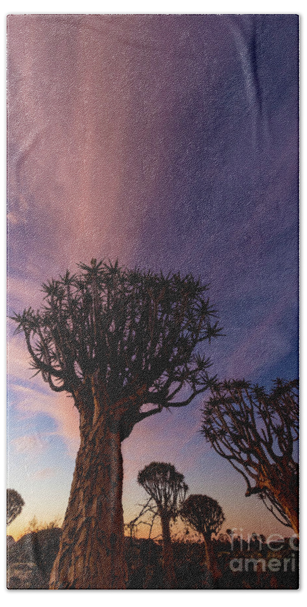 Africa Bath Towel featuring the photograph Quiver Trees 14 by Inge Johnsson
