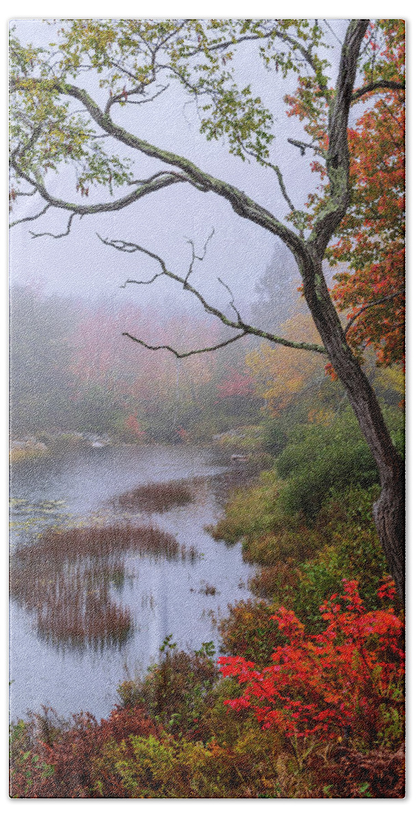 Rain Hand Towel featuring the photograph Rain by Chad Dutson