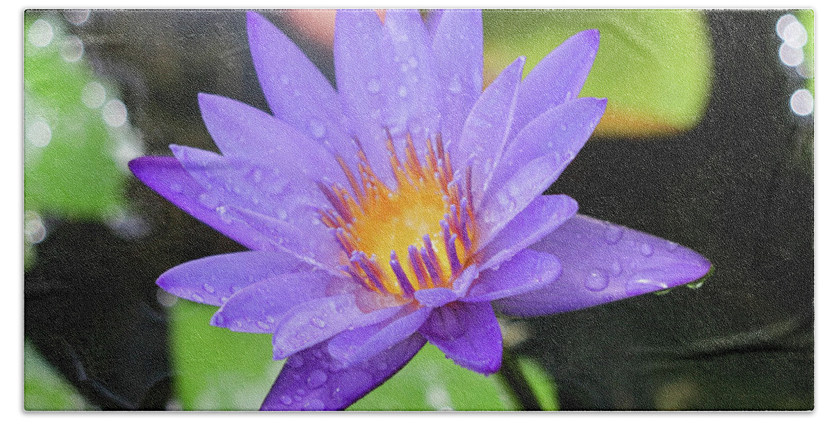 Water Lily Hand Towel featuring the photograph Rain-dropped Waterlily by Mary Anne Delgado