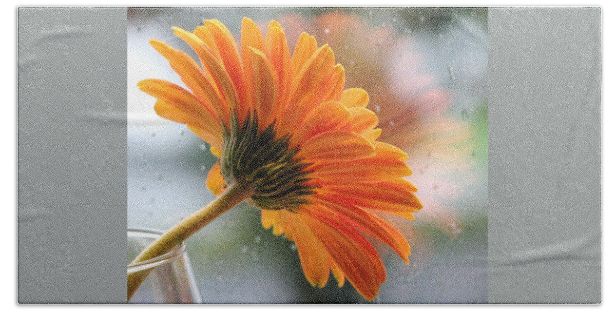 Floral Still Life Hand Towel featuring the photograph Rain Drops At My Window by Angela Davies