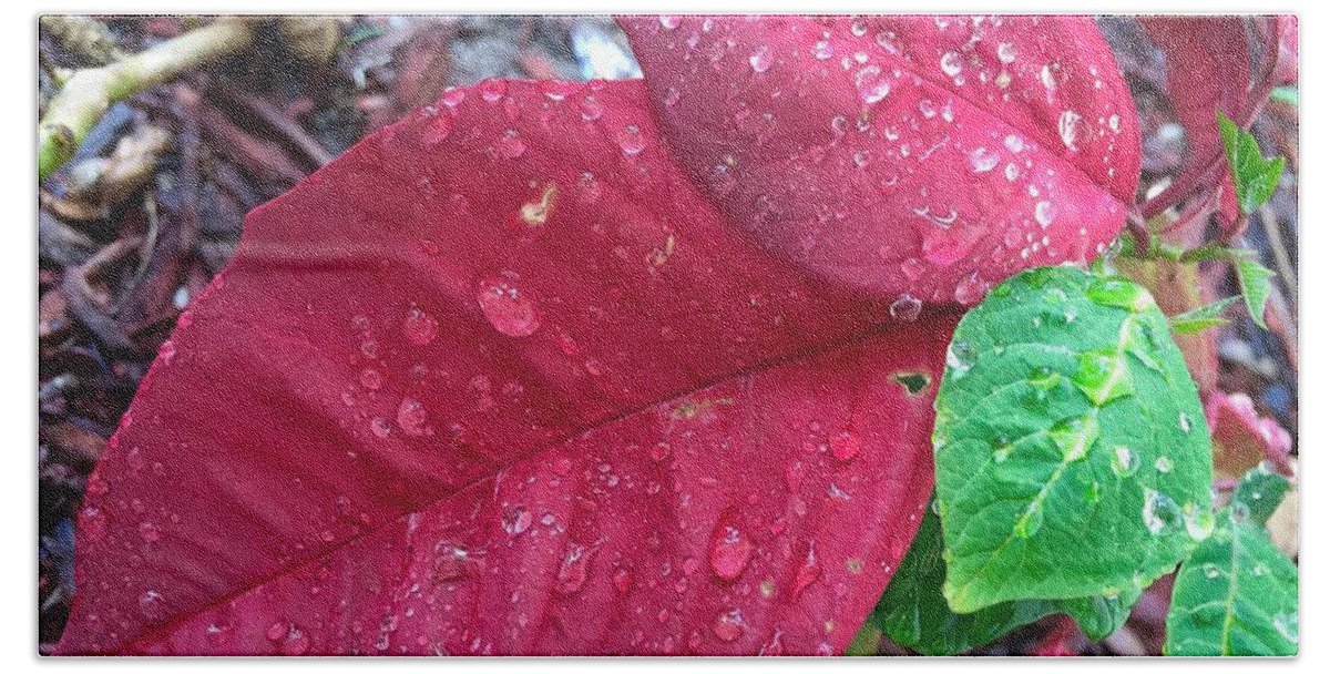 Rain Drops Hand Towel featuring the photograph Rain Drops by Carlos Avila