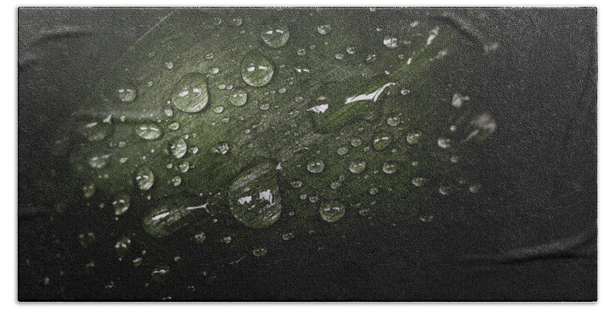 Macro Hand Towel featuring the photograph Rain Drops on Leaf by Scott Norris