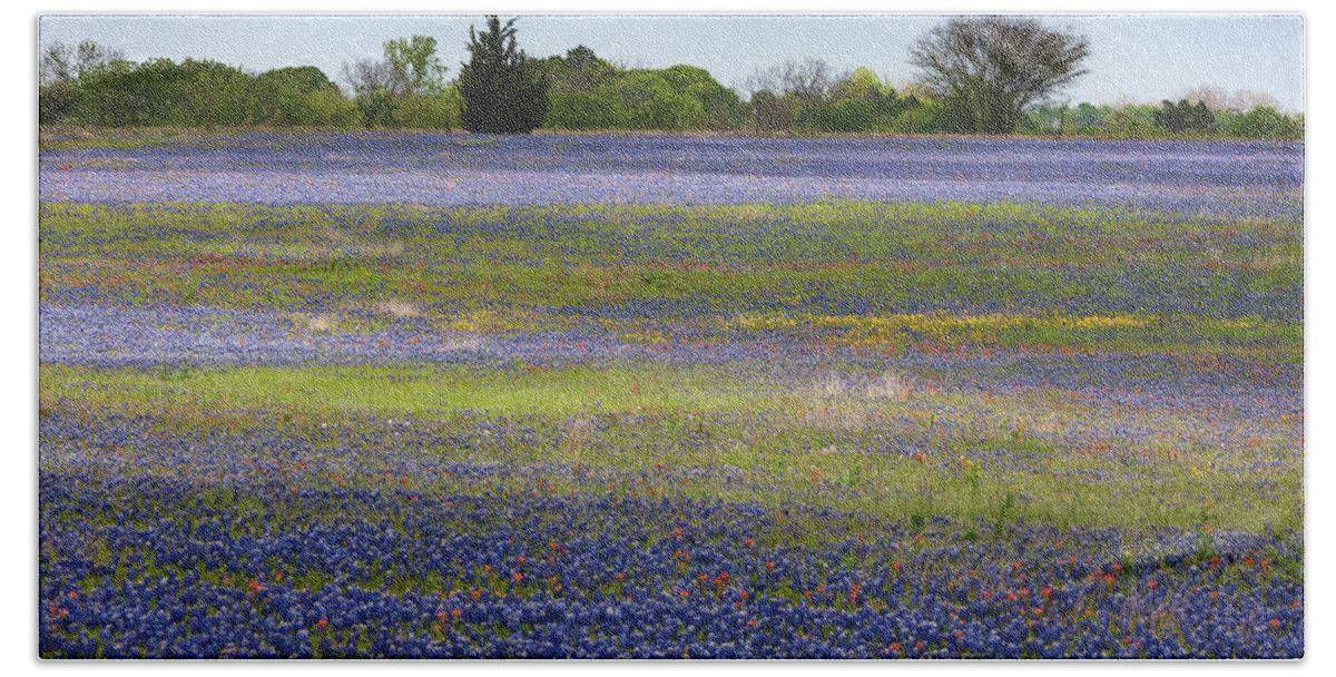 A Pasture Not Far From Houston Is Dazzling In Vivid Swathes Of Bluebonnets Hand Towel featuring the photograph Rainbow on the Ground by Gerard Harrison
