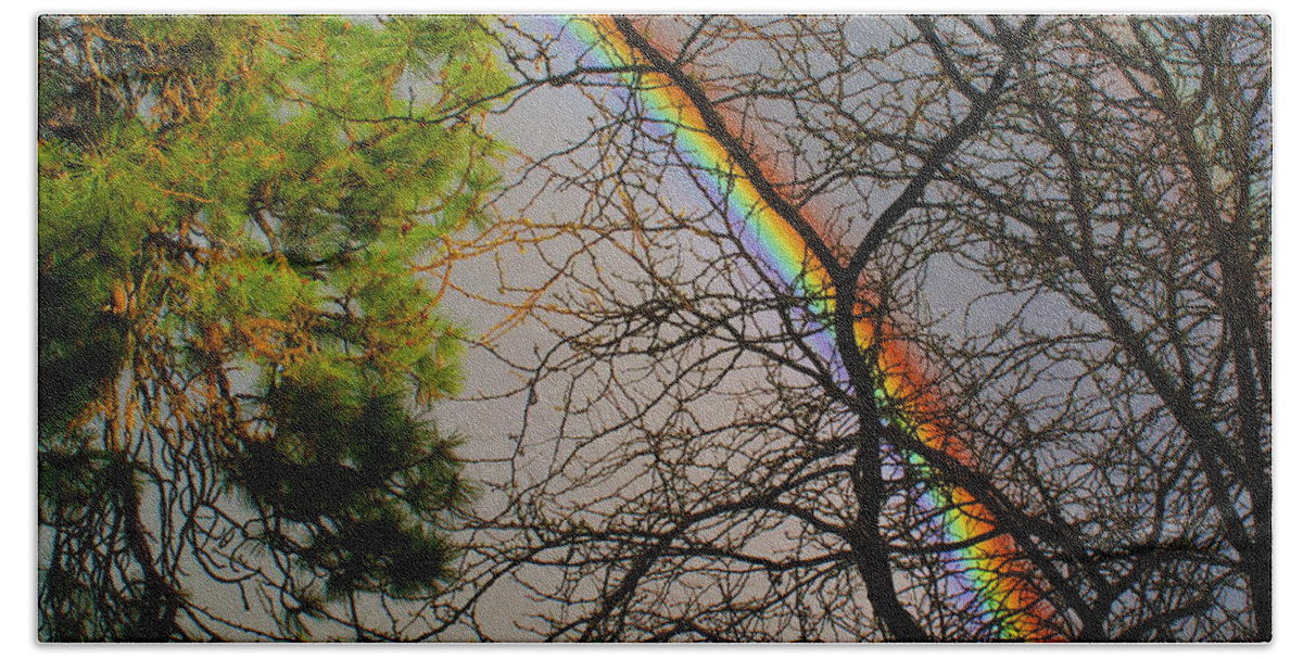 Nature Bath Towel featuring the photograph Rainbow Tree by Ben Upham III