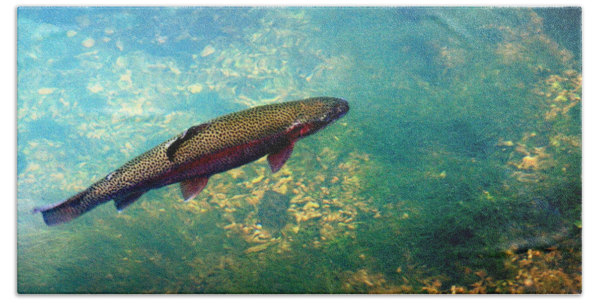 Fish Bath Sheet featuring the photograph Rainbow Trout by Marty Koch