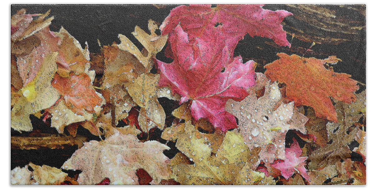 Leaves Bath Towel featuring the photograph Rainy Day Leaves by Matalyn Gardner