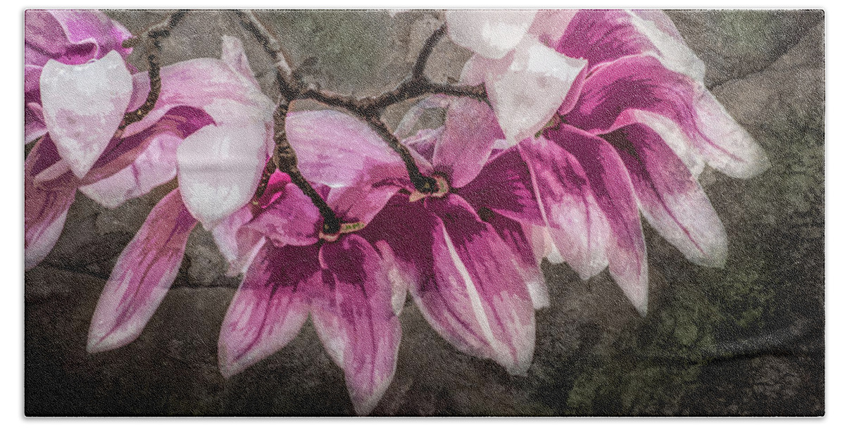 Tree Bath Towel featuring the photograph Rainy Day Magnolia by Michael Arend