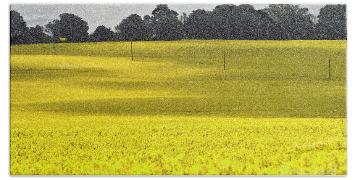 Heiko Bath Towel featuring the photograph Rape Field in East Germany by Heiko Koehrer-Wagner