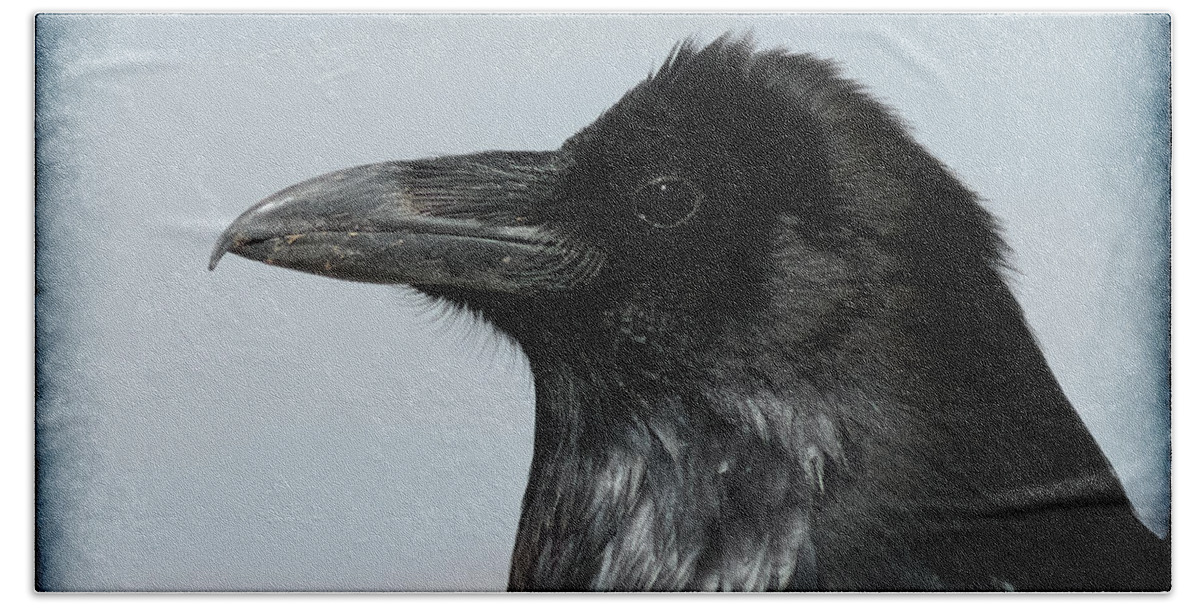 Raven Bath Towel featuring the photograph Raven Profile by Ernest Echols