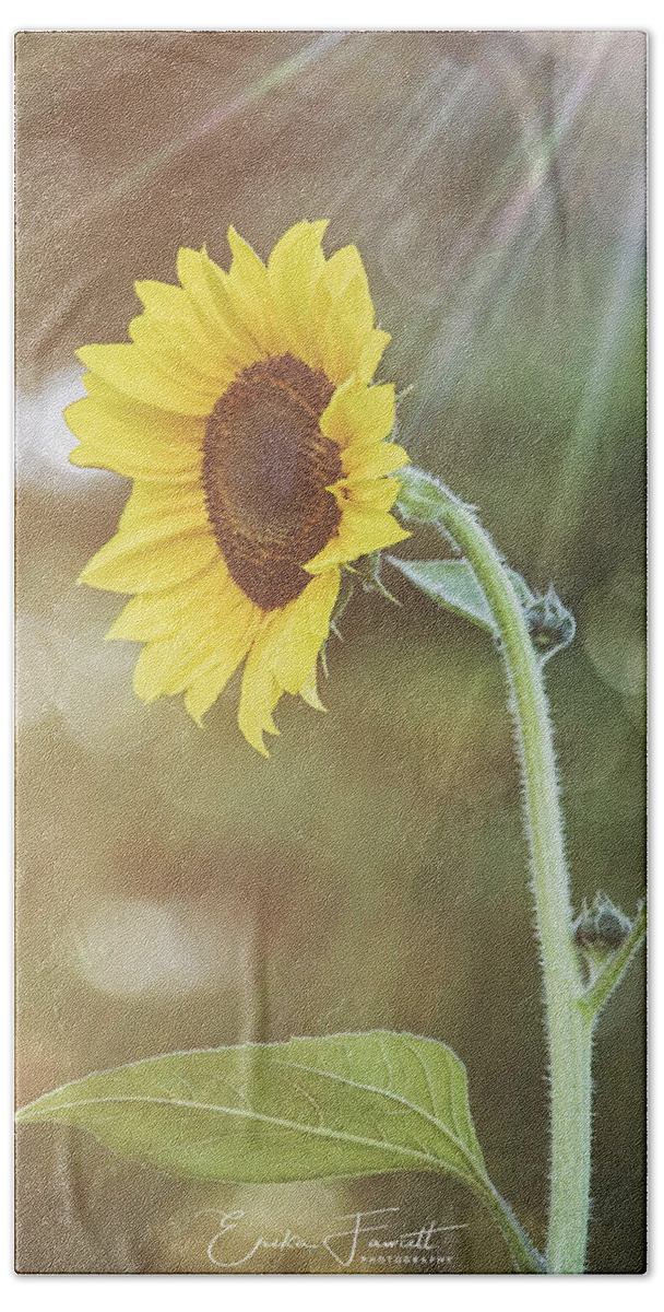 Sunflower Bath Towel featuring the photograph Ray of Light by Erika Fawcett
