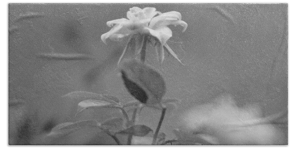 Miniature Rose Hand Towel featuring the photograph Reach Black and White Photograph of a Miniature Rose by Colleen Cornelius