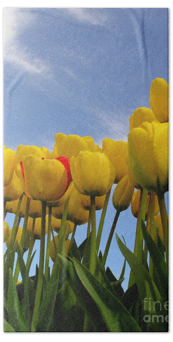 Tulips Hand Towel featuring the photograph Reaching for the Heavens by Louise Magno