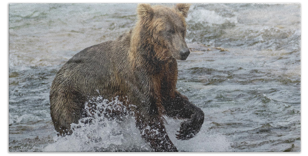 Alaska Bath Towel featuring the photograph Ready for Action by Cheryl Strahl