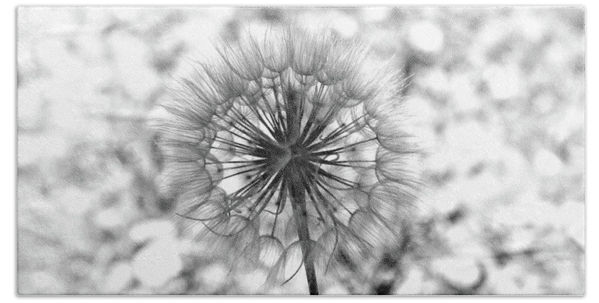 Dandelion Seed Head Bath Towel featuring the photograph Ready For Liftoff B / W by DiDesigns Graphics