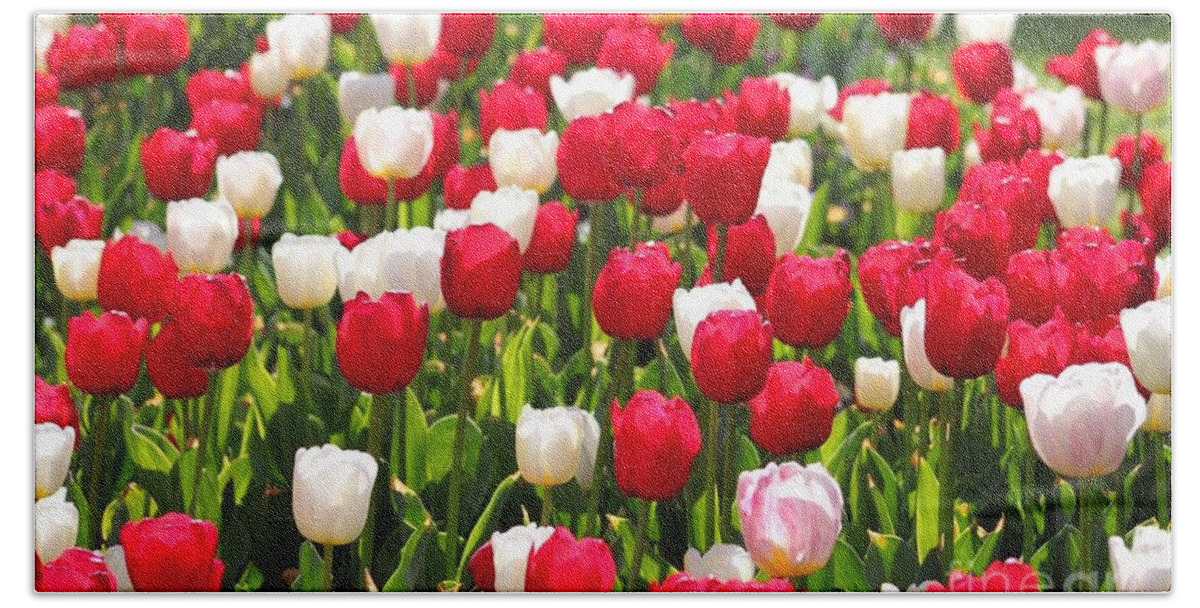 Tulips Hand Towel featuring the photograph Red and White Tulips by Bev Conover