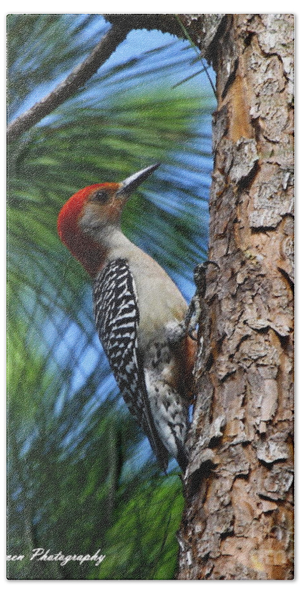 Red-bellied Woodpecker Hand Towel featuring the photograph Red-bellied Woodpecker by Barbara Bowen