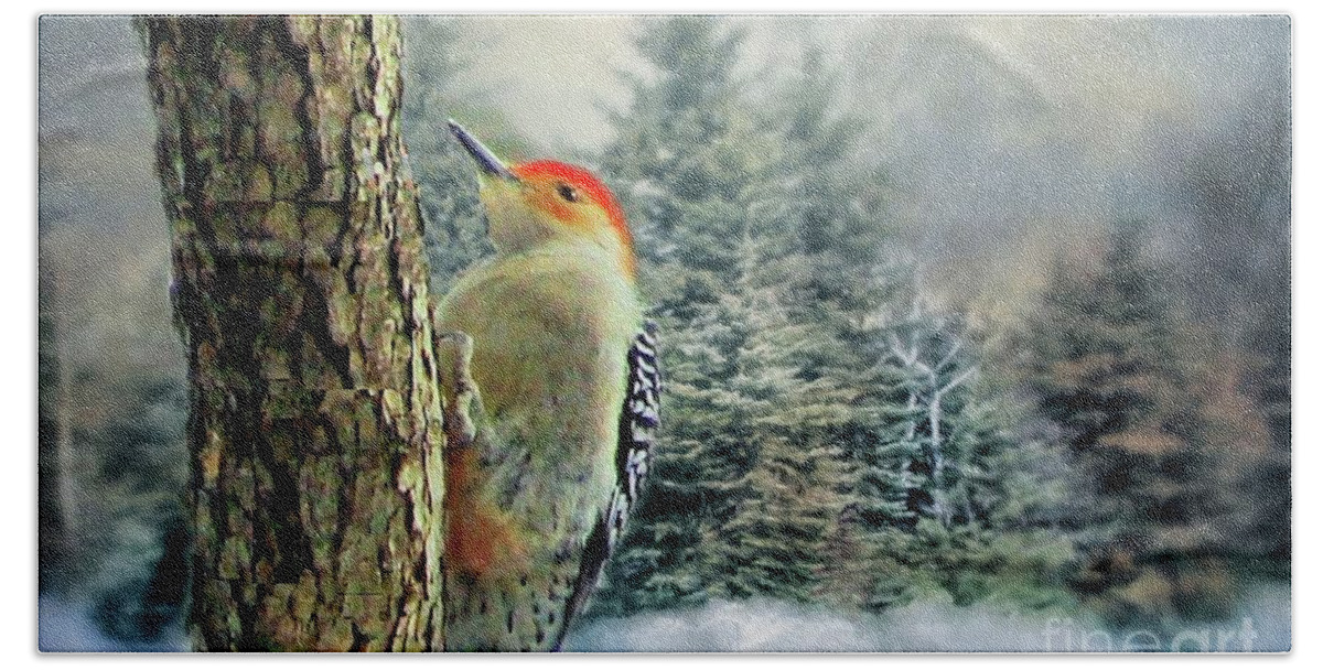 Bird Hand Towel featuring the photograph Red Bellied Woodpecker by Janette Boyd