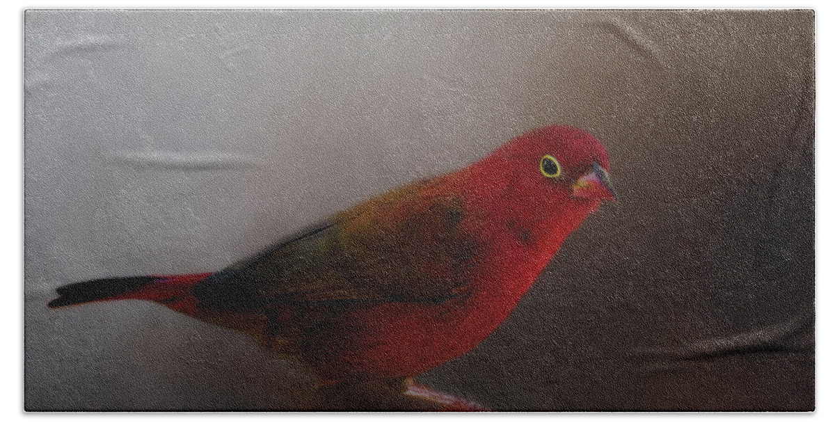 Animal Hand Towel featuring the photograph Red-Billed Firefinch by Lana Trussell