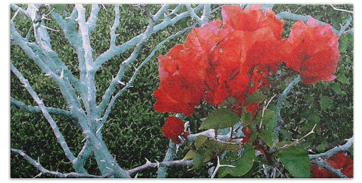 James Temple Bath Sheet featuring the photograph Red Bougainvillea Thorns by James Temple