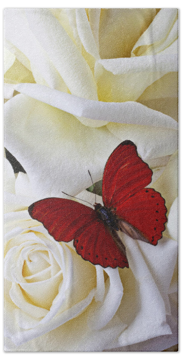 Red Bath Sheet featuring the photograph Red butterfly on white roses by Garry Gay
