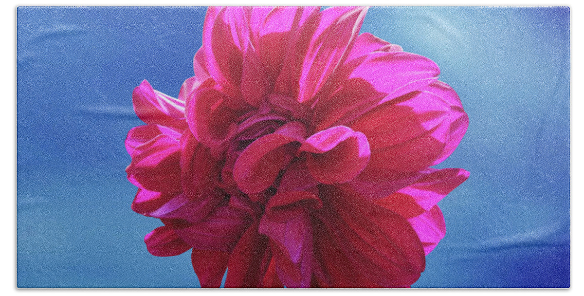 Blossom Bath Towel featuring the photograph Red Dahlia flower by Ridwan Photography