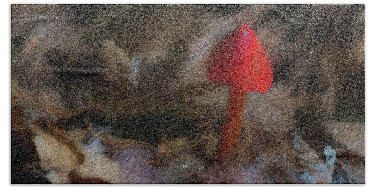 Poison Bath Towel featuring the photograph Red Forest Mushroom by Marvin Spates