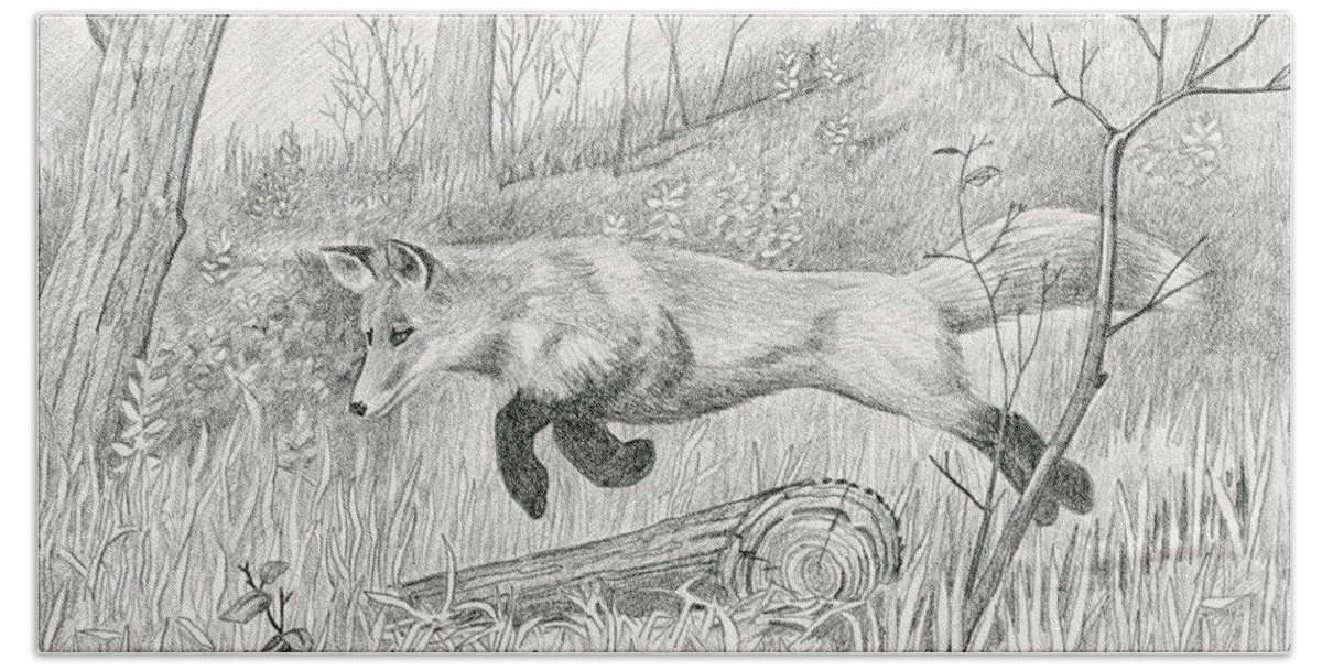 Animal Bath Towel featuring the drawing Red Fox by Harry Moulton