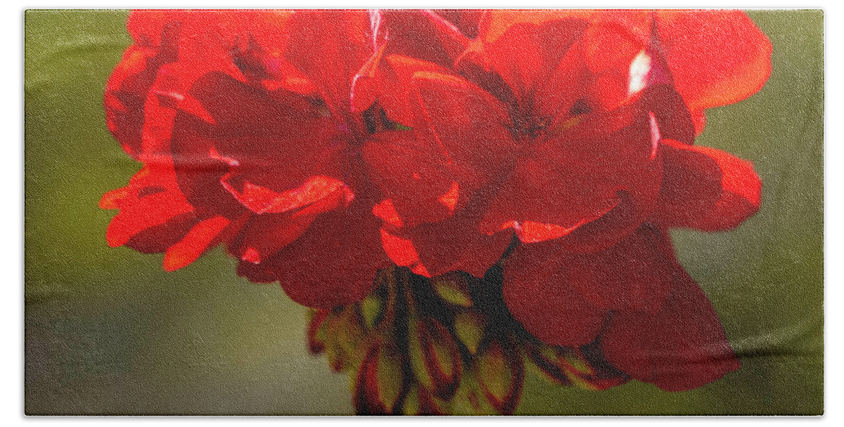 Flower Bath Towel featuring the photograph Red Geranium by Cathy Donohoue