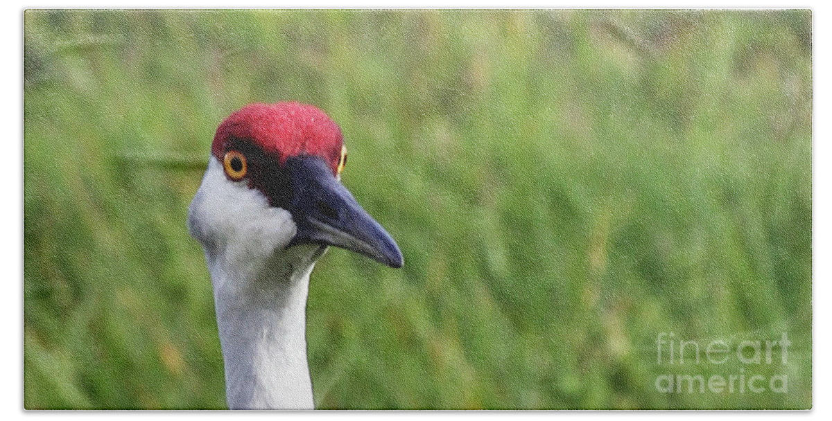Red Headed Crane Bath Towel featuring the photograph Red Headed Crane by Jennifer Robin