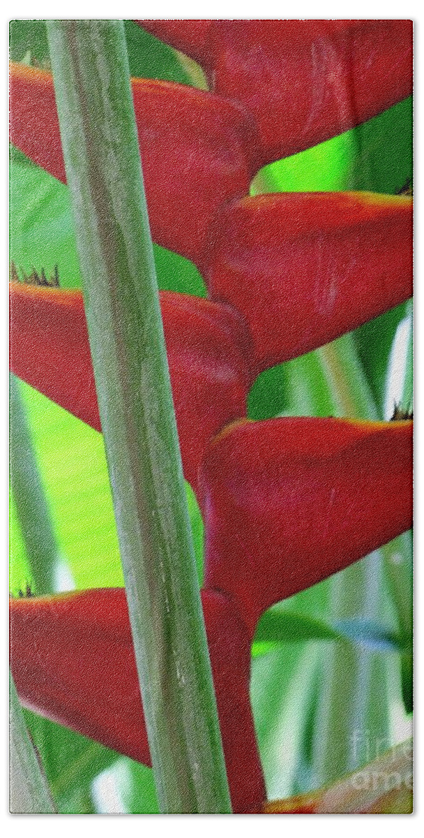 Red Flowers Hand Towel featuring the photograph Red Heliconia by Mary Deal