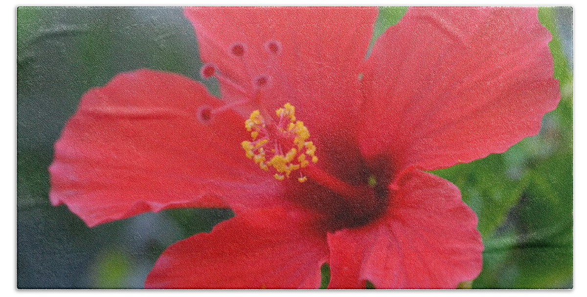 Flower Bath Towel featuring the photograph Red Hibiscus 2 by Amy Fose